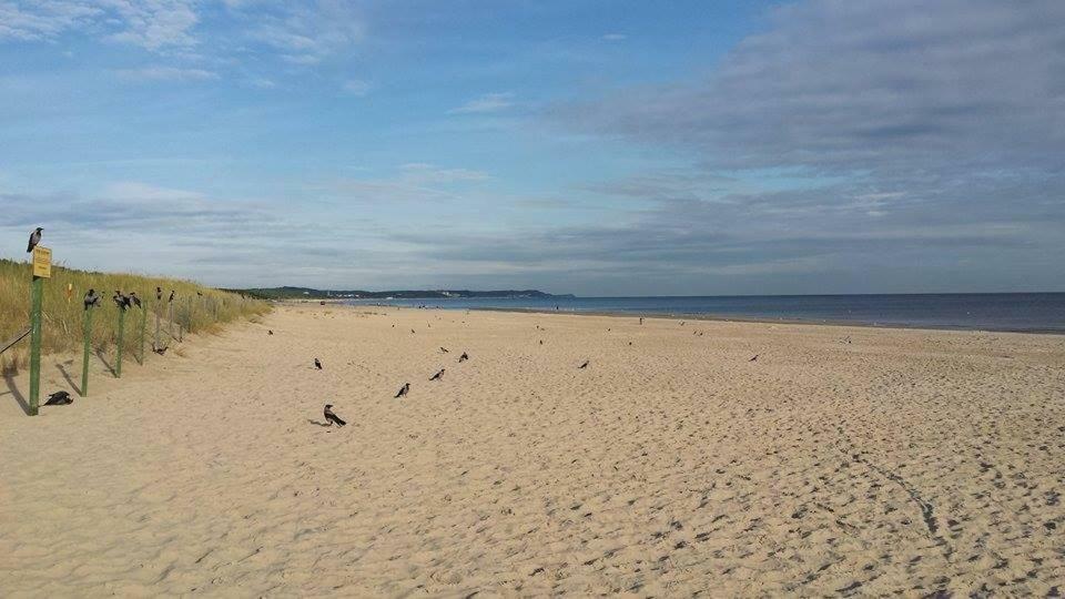 Bursztyn * Swinoujscie